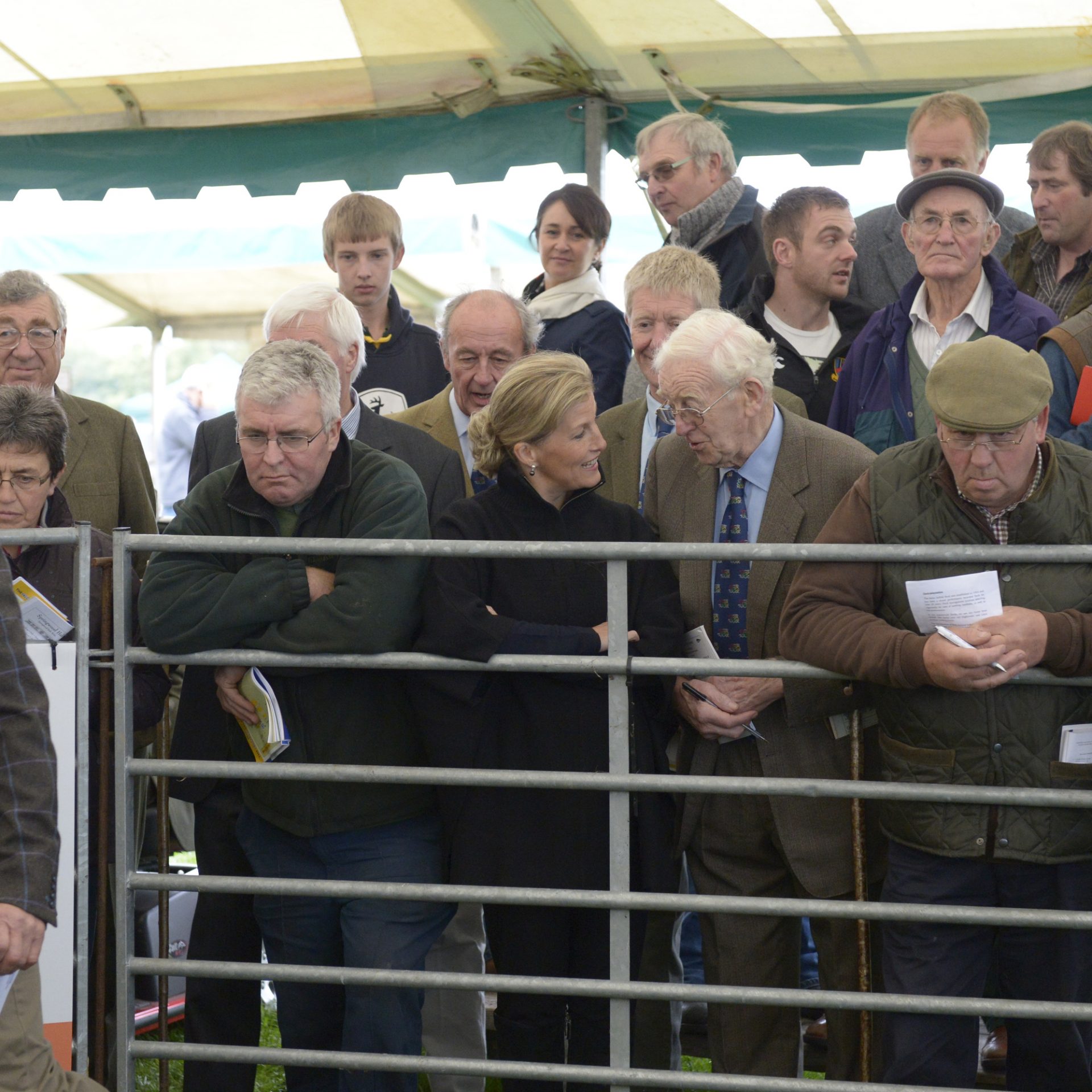Kelso Ram sales, Buyers watching the sale over the fence.