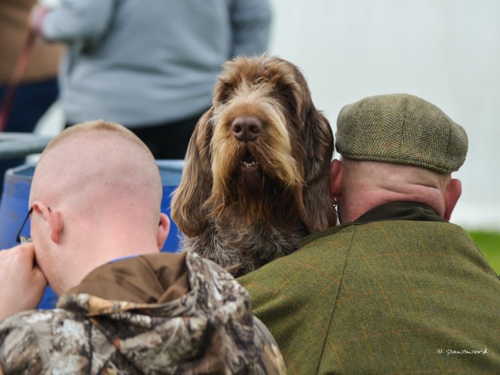 Border Union Dog Show Border Union Agricultural Society